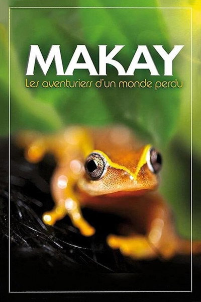 Póster de Madagascar: The Lost Makay