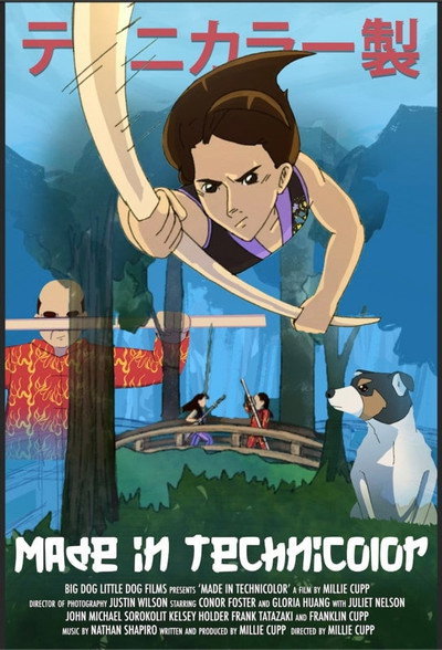 Póster de Made in Technicolor