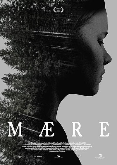Póster de Mære