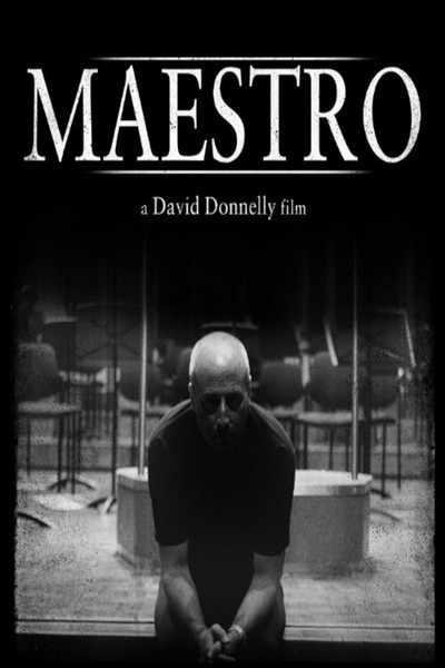 Póster de Maestro