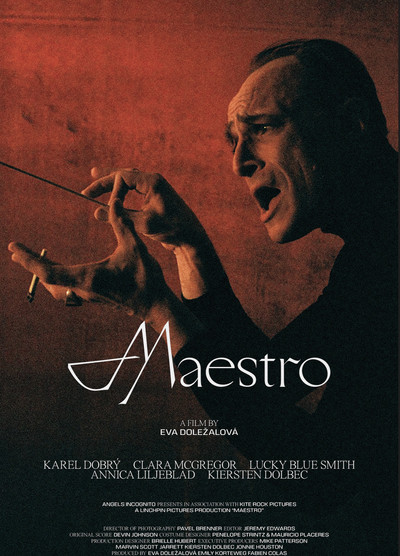 Póster de Maestro