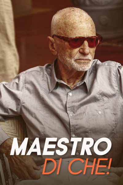 Póster de Maestro di che!