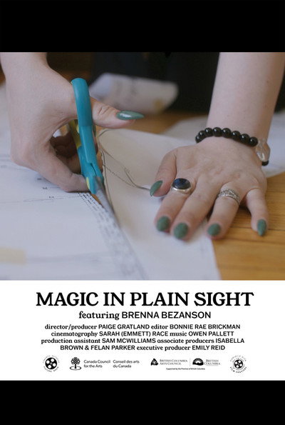Póster de Magic in Plain Sight