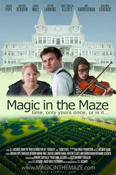Póster de Magic in the Maze