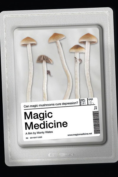 Póster de Magic Medicine
