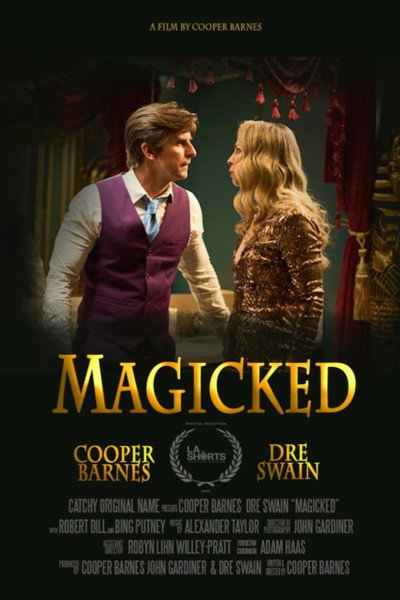Póster de Magicked