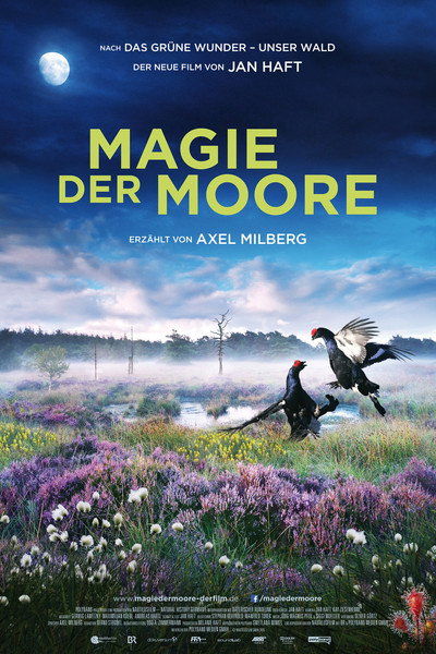 Póster de Magie der Moore
