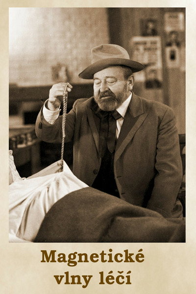 Póster de Magnetické vlny lécí