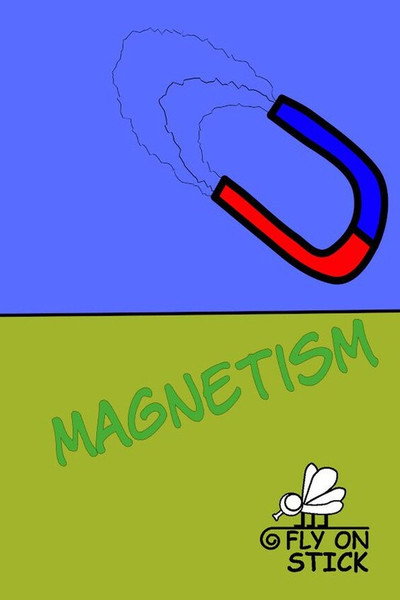 Póster de Magnetism