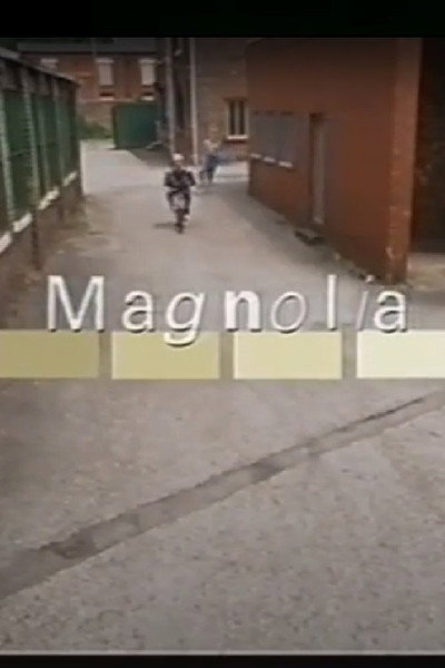 Póster de Magnolia