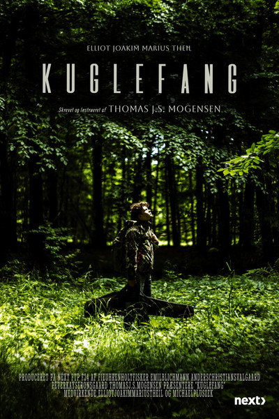 Póster de Maiden Hunt