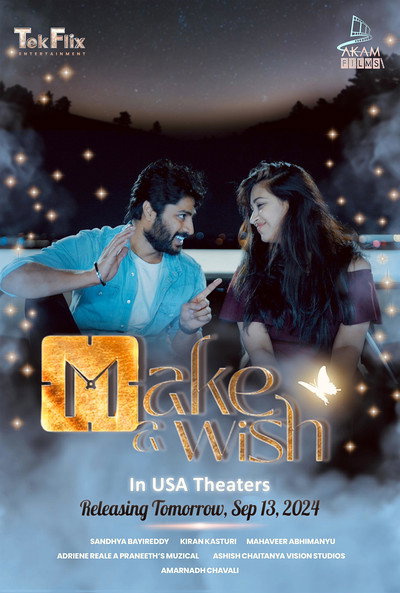 Póster de Make a Wish