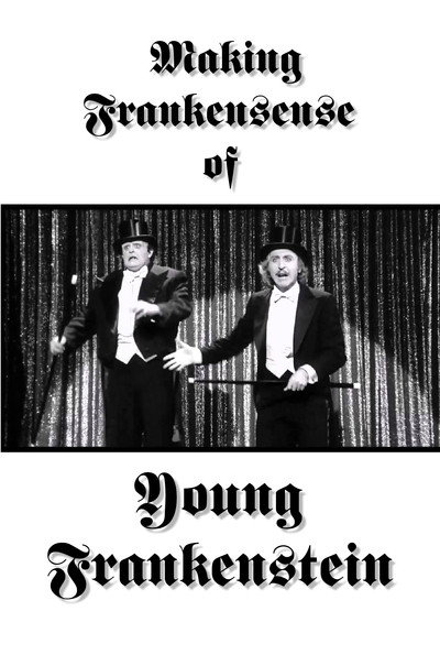 Póster de Making Frankensense of 'Young Frankenstein'