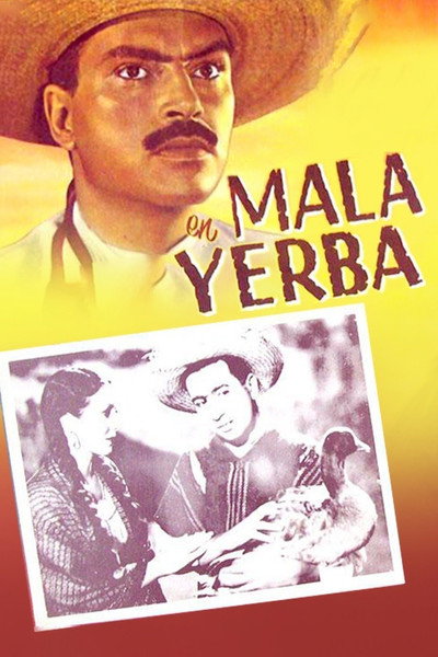 Póster de Mala yerba