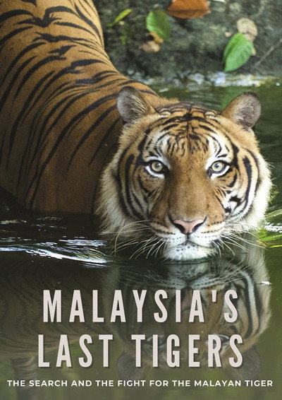 Póster de Malaysia's Last Tigers