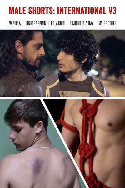 Póster de Male Shorts International V3