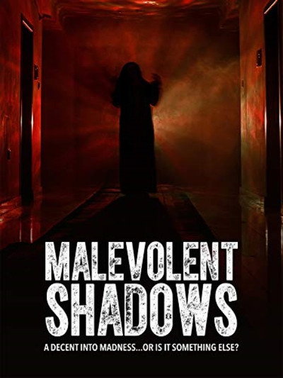 Póster de Malevolent Shadows