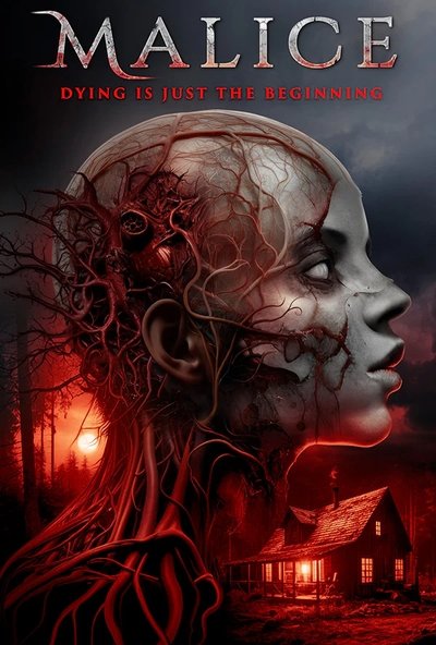 Póster de Malice