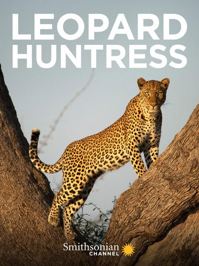 Póster de Malika Leopard Huntress
