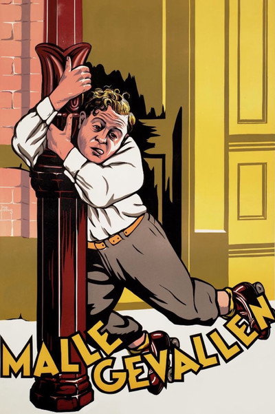 Póster de Malle gevallen