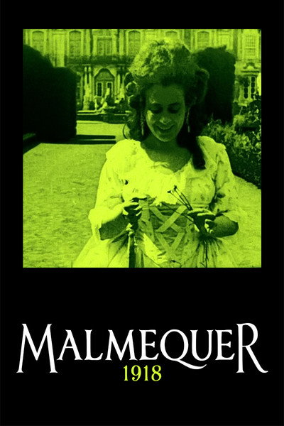 Póster de Malmequer