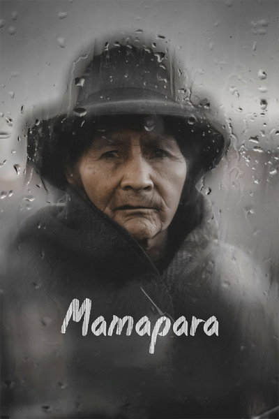 Póster de Mamapara