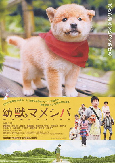 Póster de Mameshiba Cubbish Puppy