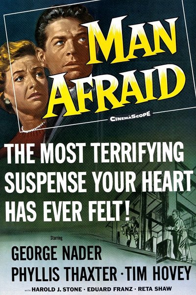 Póster de Man Afraid