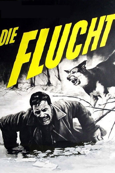 Póster de Man and Beast