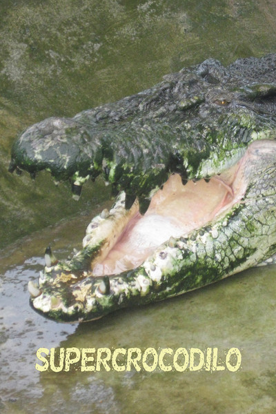 Póster de Man-Eating Super Croc