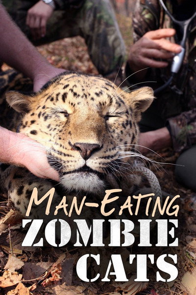 Póster de Man-Eating Zombie Cats
