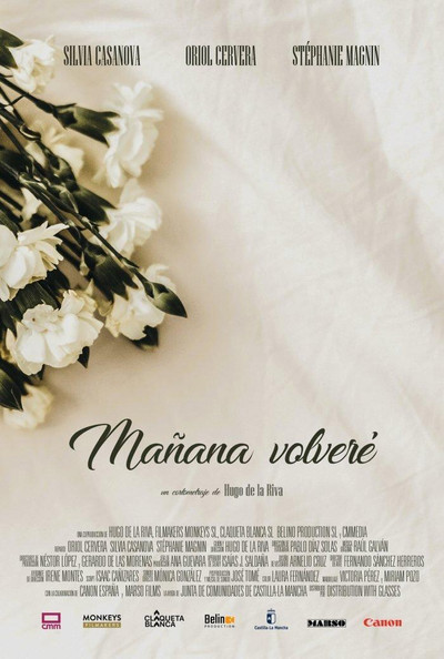 Póster de Mañana volveré