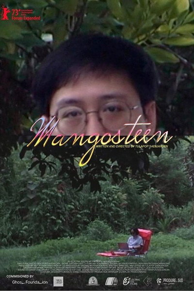 Póster de Mangosteen