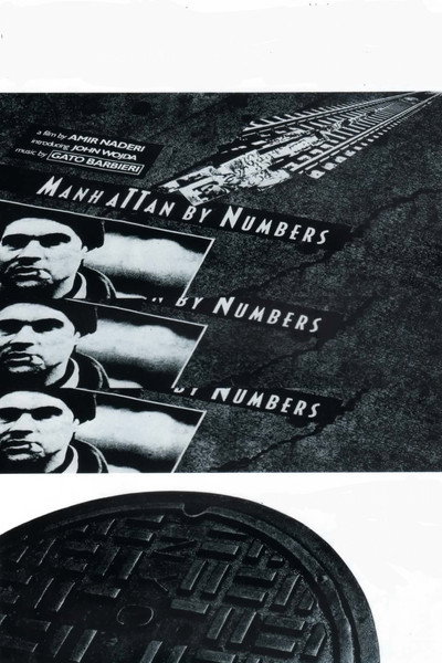 Póster de Manhattan by Numbers