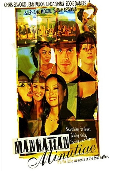 Póster de Manhattan Minutiae