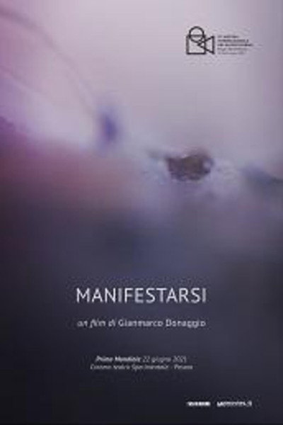 Póster de Manifestarsi