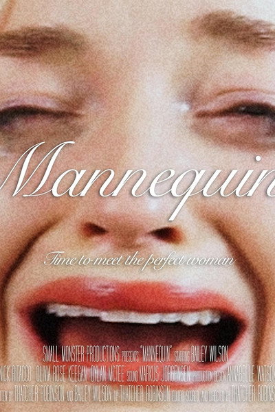 Póster de Mannequin
