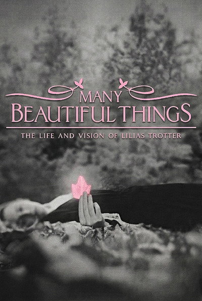 Póster de Many Beautiful Things