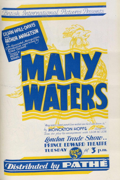 Póster de Many Waters