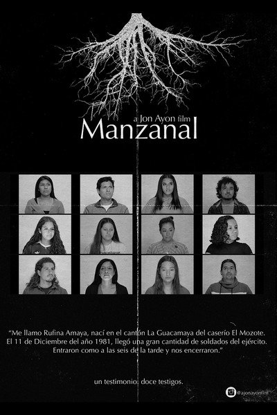 Póster de Manzanal