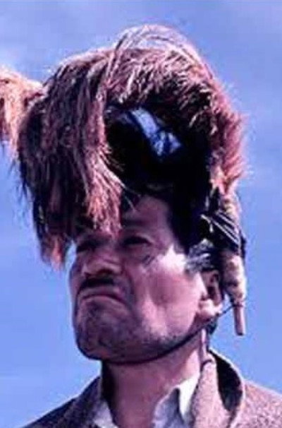 Póster de Mapuche