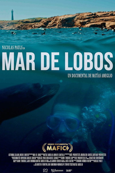 Póster de Mar de lobos