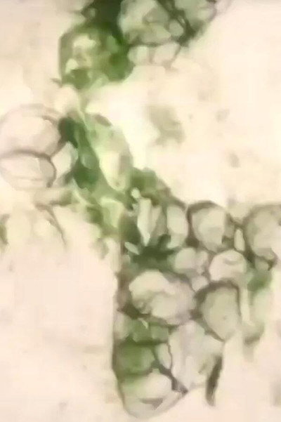 Póster de Marble