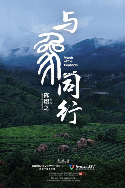 Póster de March of the Elephants