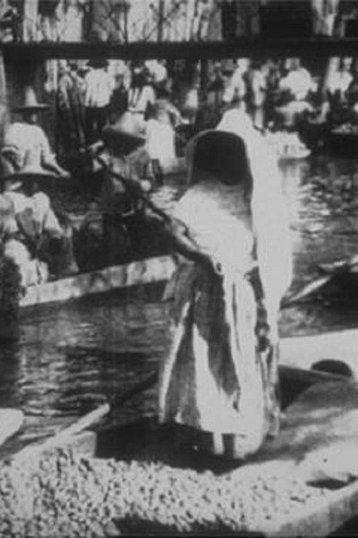 Póster de Marché indien sur le canal de la Viga [Mexique]