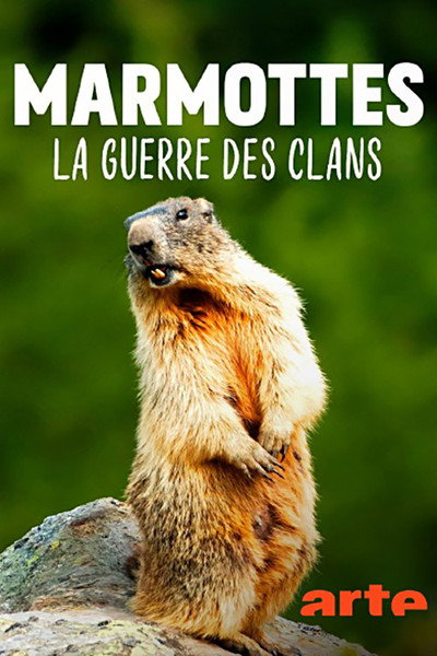 Póster de Marmottes, la guerre des clans