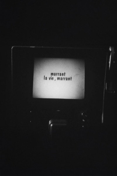 Póster de Marrant la vie, marrant
