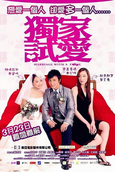 Póster de Marriage with a Fool