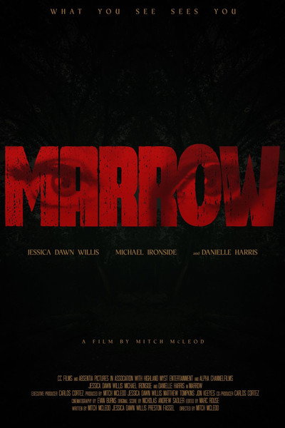 Póster de Marrow