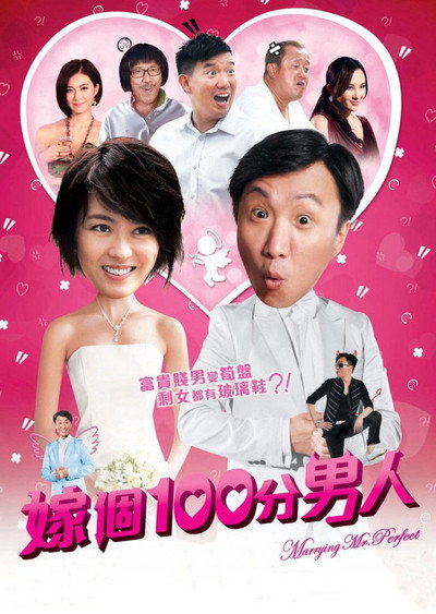 Póster de Marrying Mr. Perfect